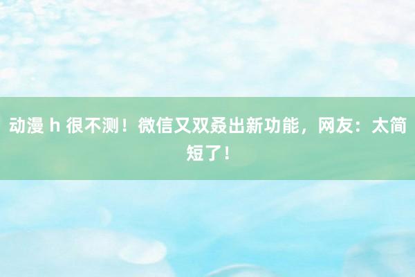 动漫 h 很不测！微信又双叒出新功能，网友：太简短了！
