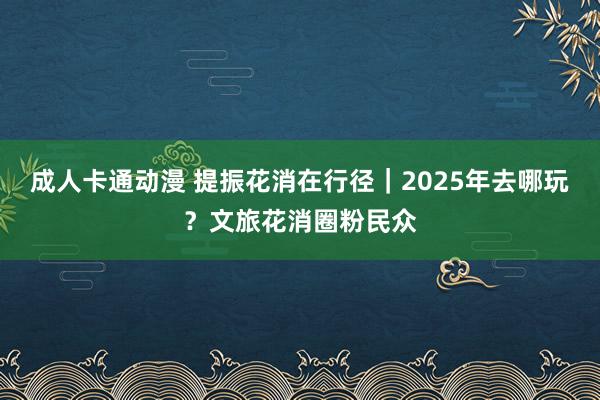 成人卡通动漫 提振花消在行径｜2025年去哪玩？文旅花消圈粉民众
