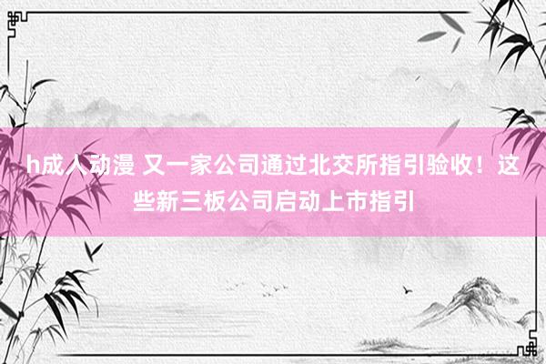 h成人动漫 又一家公司通过北交所指引验收！这些新三板公司启动上市指引
