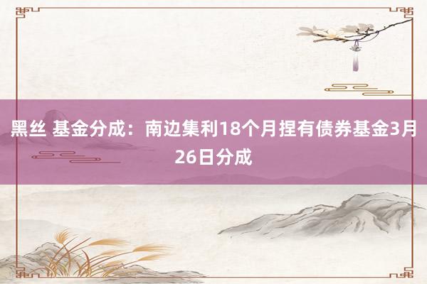 黑丝 基金分成：南边集利18个月捏有债券基金3月26日分成