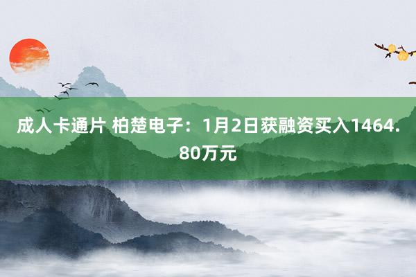 成人卡通片 柏楚电子：1月2日获融资买入1464.80万元