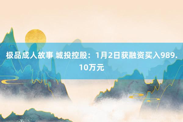 极品成人故事 城投控股：1月2日获融资买入989.10万元