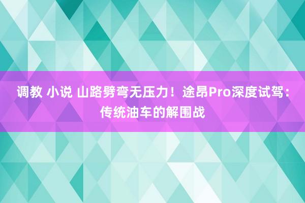 调教 小说 山路劈弯无压力！途昂Pro深度试驾：传统油车的解围战