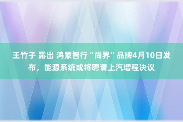 王竹子 露出 鸿蒙智行“尚界”品牌4月10日发布，能源系统或将聘请上汽增程决议