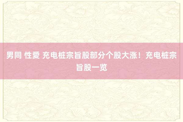男同 性愛 充电桩宗旨股部分个股大涨！充电桩宗旨股一览