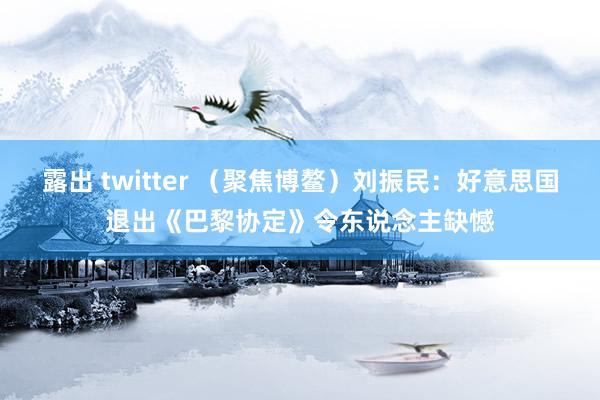 露出 twitter （聚焦博鳌）刘振民：好意思国退出《巴黎协定》令东说念主缺憾
