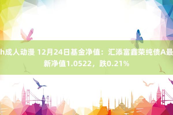 h成人动漫 12月24日基金净值：汇添富鑫荣纯债A最新净值1.0522，跌0.21%
