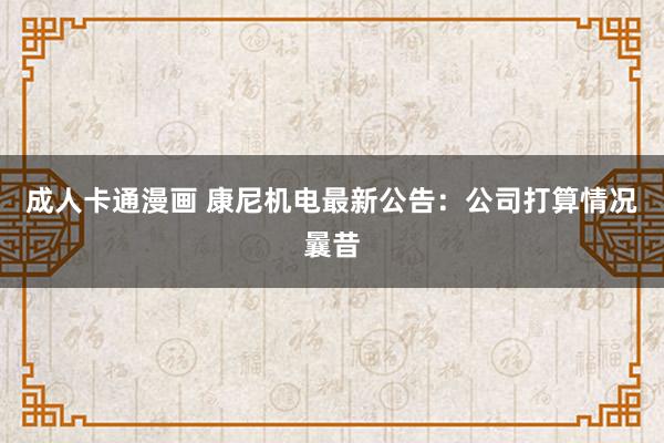 成人卡通漫画 康尼机电最新公告：公司打算情况曩昔