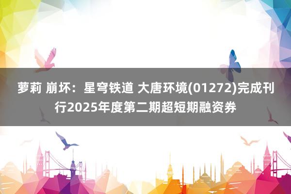萝莉 崩坏：星穹铁道 大唐环境(01272)完成刊行2025年度第二期超短期融资券