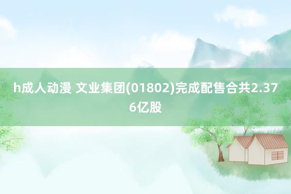 h成人动漫 文业集团(01802)完成配售合共2.376亿股