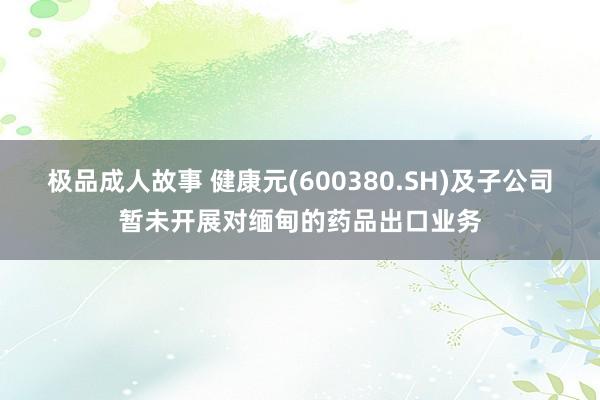 极品成人故事 健康元(600380.SH)及子公司暂未开展对缅甸的药品出口业务