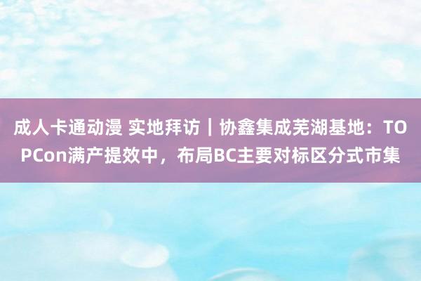 成人卡通动漫 实地拜访｜协鑫集成芜湖基地：TOPCon满产提效中，布局BC主要对标区分式市集