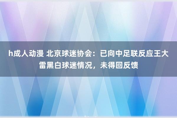 h成人动漫 北京球迷协会：已向中足联反应王大雷黑白球迷情况，未得回反馈