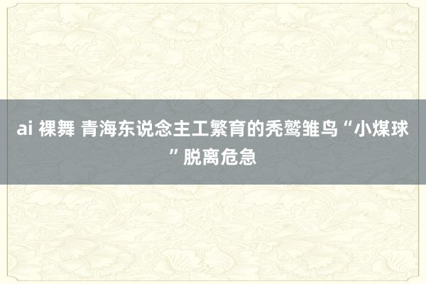 ai 裸舞 青海东说念主工繁育的秃鹫雏鸟“小煤球”脱离危急