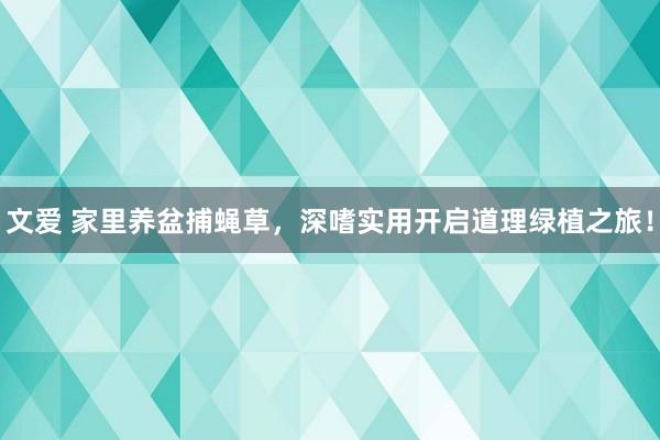 文爱 家里养盆捕蝇草，深嗜实用开启道理绿植之旅！