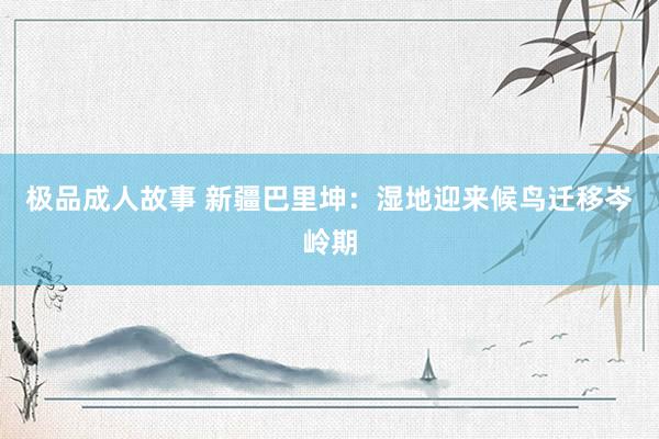 极品成人故事 新疆巴里坤：湿地迎来候鸟迁移岑岭期