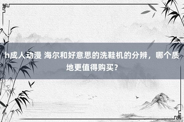 h成人动漫 海尔和好意思的洗鞋机的分辨，哪个质地更值得购买？