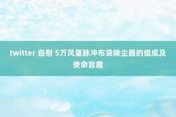 twitter 自慰 5万风量脉冲布袋除尘器的组成及使命旨趣