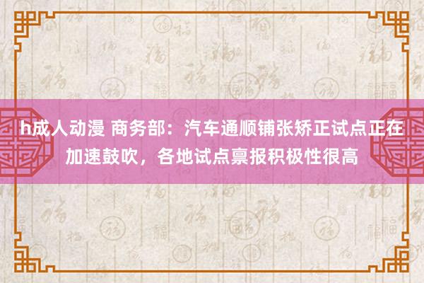 h成人动漫 商务部：汽车通顺铺张矫正试点正在加速鼓吹，各地试点禀报积极性很高